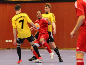 SFV-Futsal-Vergleich in Stuttgart, Foto: Rüdiger Zinsel